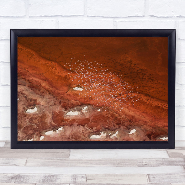 Flamingo Kenya Aerial Flamingos Birds Bird Landscape Red Above Wall Art Print