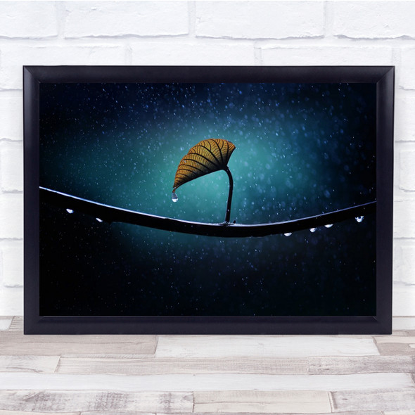 Macro Leaf Blue Branch Twig Rain Drop Wall Art Print