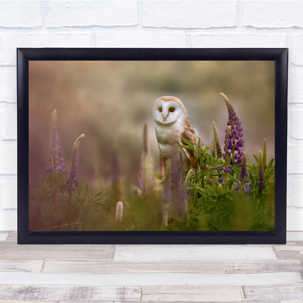 Owl Meadow Flowers Barn Birds Animals Wall Art Print