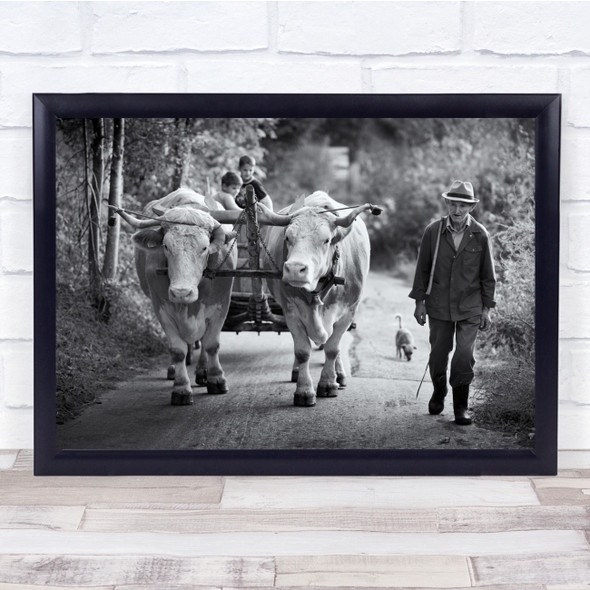 Romania Dog Ox Documentary Walk Rural Wall Art Print