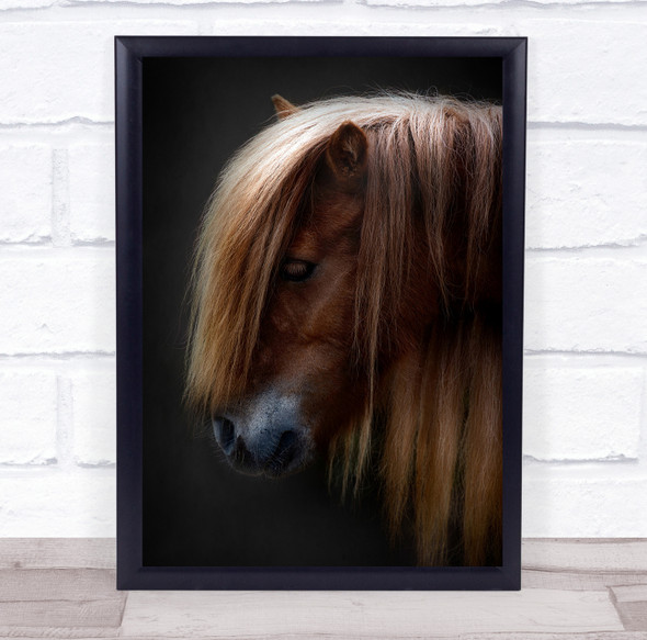 Animal Animals Horse Horses Mane Face Profile Shetland Pony Wall Art Print