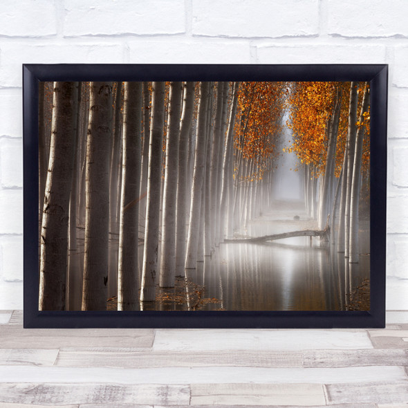 Autumn Foggy Poplar Landscape Reflections Spain Murcia Fall Wall Art Print