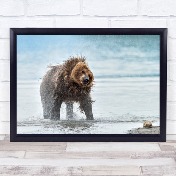 Bear Russia Kamchatka Wild Nature Water Animals Lake Kurile Wall Art Print