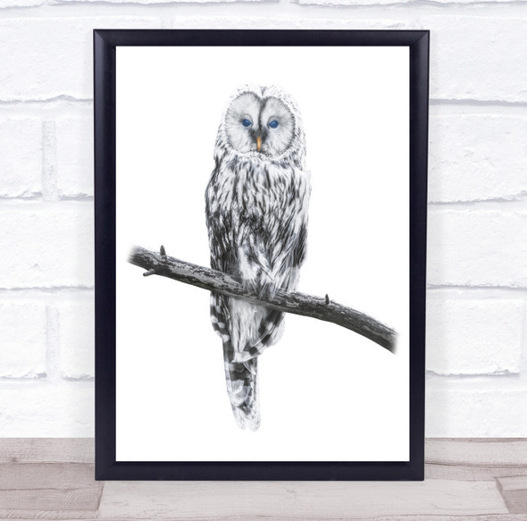 Charisma Intelligence Harmony Bird Wild Wildlife Owl Animal Wall Art Print