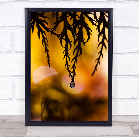 Droplet Dew Flare Macro Jewel Leaf Orange Yellow Silhouette Wall Art Print