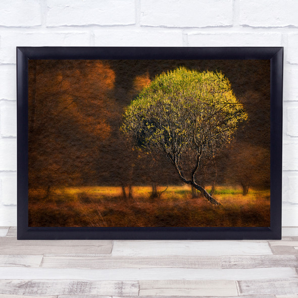 Forest Park Texture Creative Edit Trees Lonely Tree Morning Wall Art Print