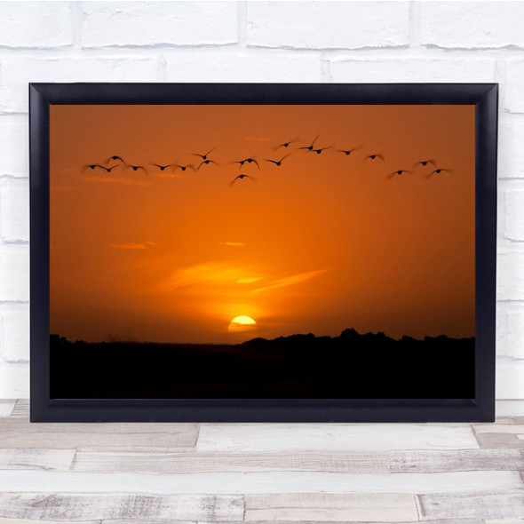 Iceland Birds Sunset Flying Animals Yellow Nature Migration Wall Art Print