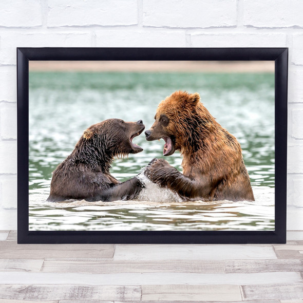 Wildlife Wild Nature Animal Animals Bear Bears Play Playing Wall Art Print
