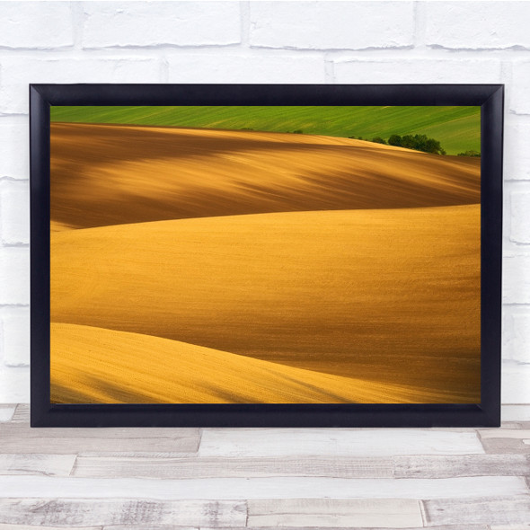 Landscape Hills Rolling Ground Agriculture Countryside Rural Golden Print