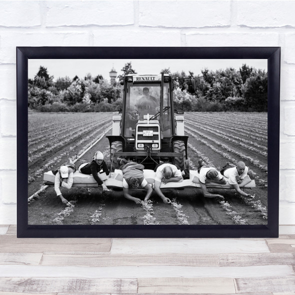 Renault Strawberries Workers Farmers Work Working Lie Lying Tractor Print