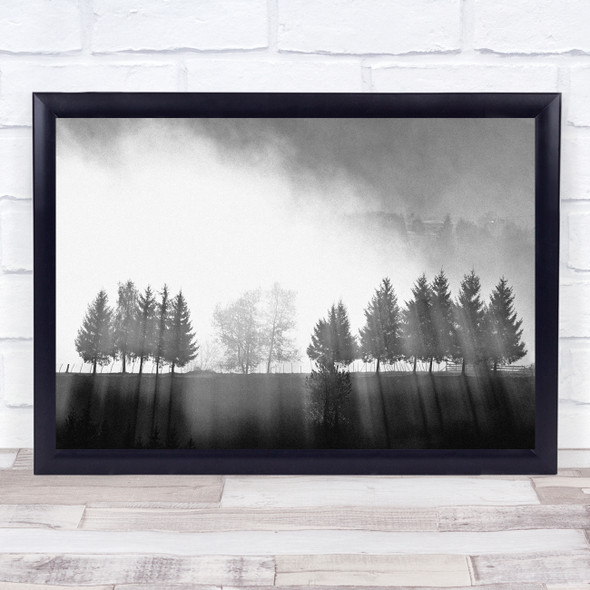 Traces Trees Light Rays Beams Black & White Landscape Fog Mist Haze Print