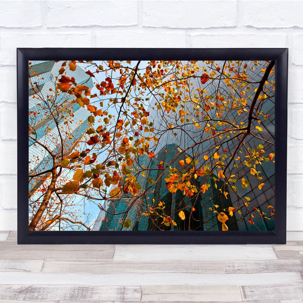 Autumn Fall Perspective Branches Branch Twigs Architecture Wall Art Print