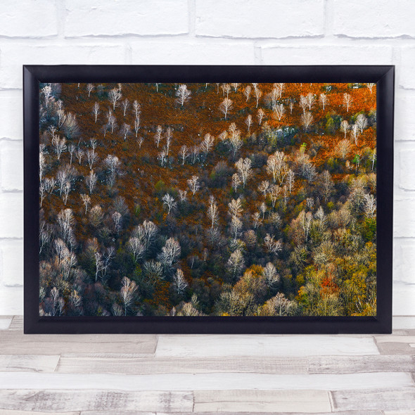 Autumn Landscape Fall Trees Forest Woods Aerial Atmosphere Wall Art Print