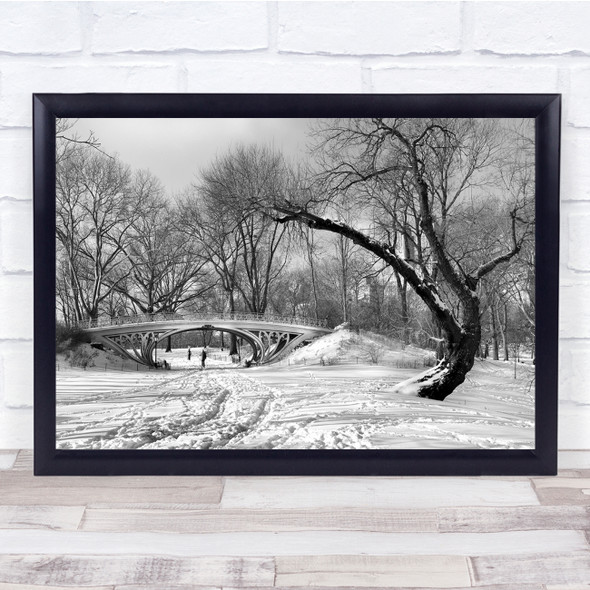 Bridge Architecture Park Winter Tree City Central New York Wall Art Print