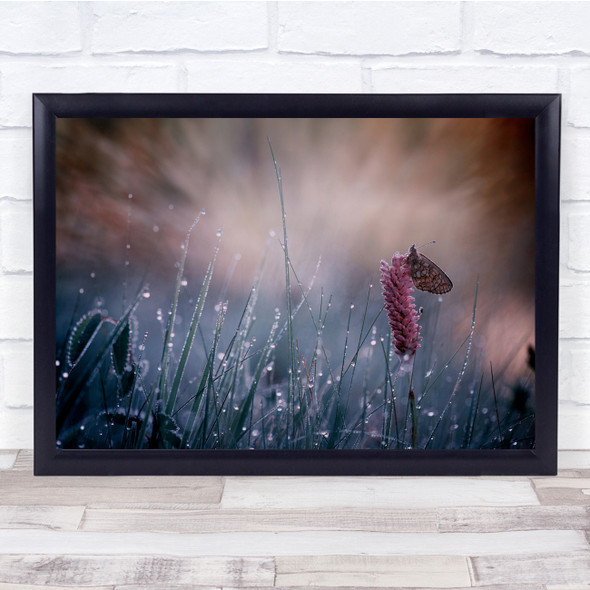 Butterfly Spring Grass Dew Meadow Butterflies Macro Insect Wall Art Print