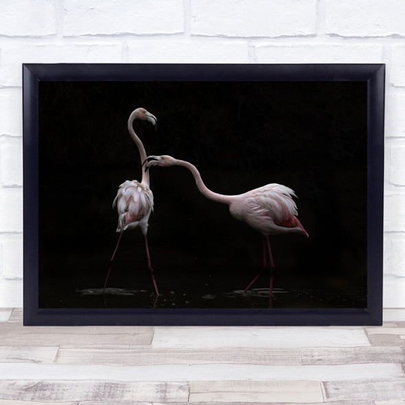 Camargue France Flamingo Pink Water Reflection Black Birds Wall Art Print