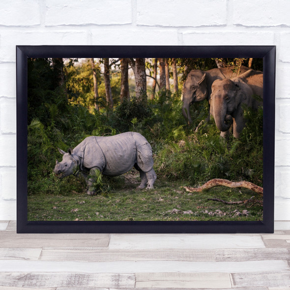 Elephant Woods Kaziranga India Forest Palm Rhino Elephants Wall Art Print