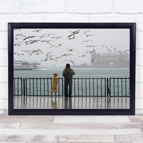 Everyday Tourist Seagull Sea Gull Dog Reflection Wet Floor Wall Art Print