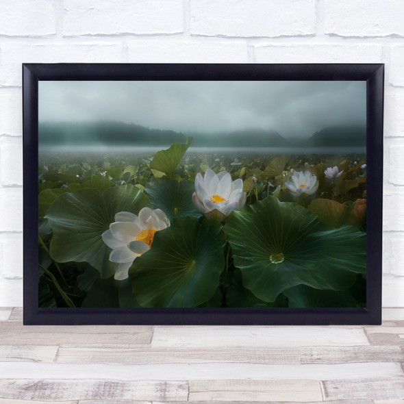 Flower Flowers Lotus Lake Fog Mist Haze Rain Raining Rainy Wall Art Print