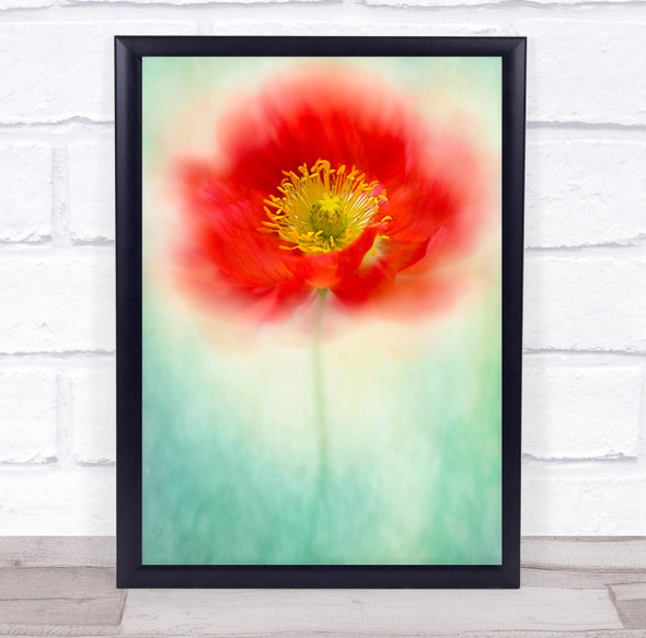 Flower Red Poppy Floatypetals Vibrant Floral Bloom Flowers Wall Art Print