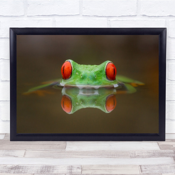 Frog Eyes Red Macro Animal Reflection Water Pond Pool Look Wall Art Print