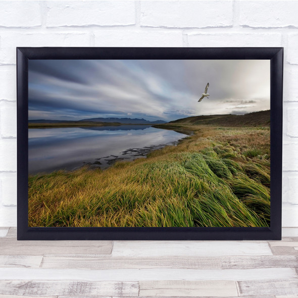 Landscape Seascape Coast Lake Water Bird Shore Beach Grass Wall Art Print