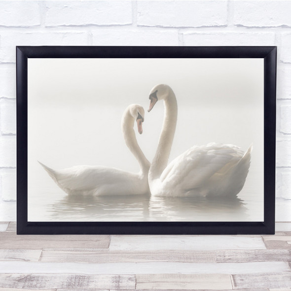 Nature Animal Bird Swans Swan Fog Mist Misty Love Romantic Wall Art Print