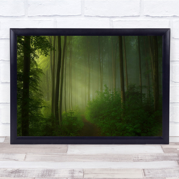 Panorama Forest Trail Path Light Rays Green Summer Mystery Wall Art Print