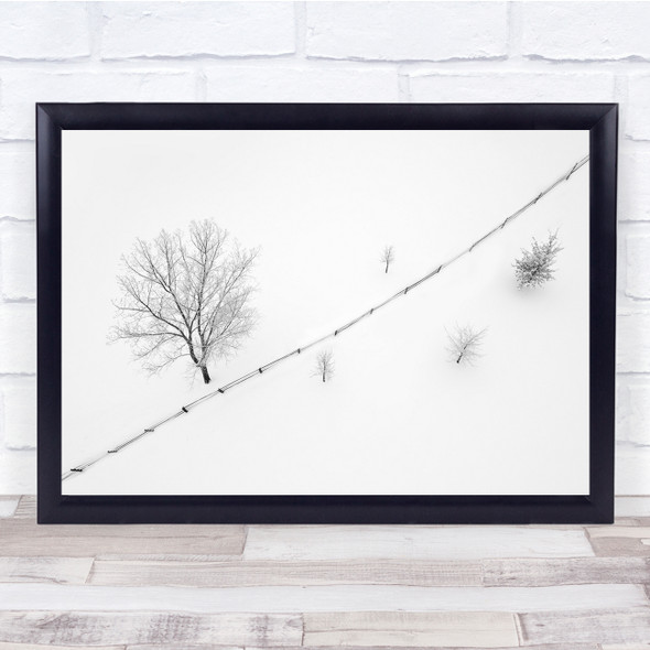 Tree Snow Winter Fences Aerial White Abstract Colorado USA Wall Art Print