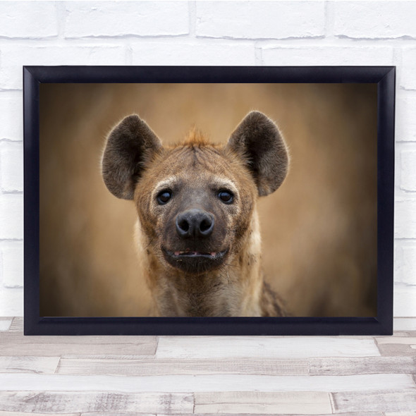 Africa Female Hyena Kruger Mother Portrait Stare Wildlife Wall Art Print