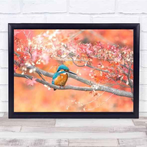 Animals Birds Branch Leaves Leaf Colors Beach Hummingbird Wall Art Print