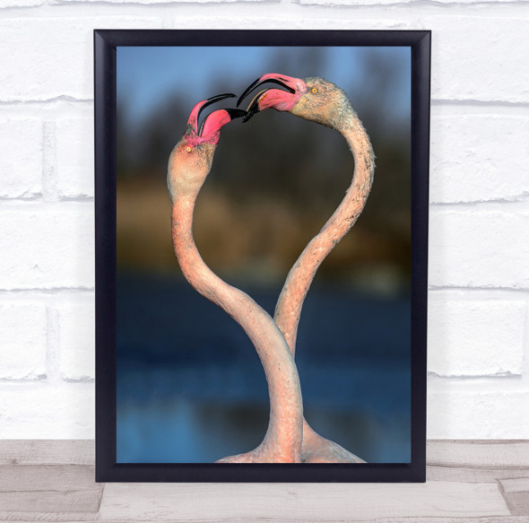 Flamingo Camarga Delta Bird Wild Wildlife Heart Love Kiss Wall Art Print