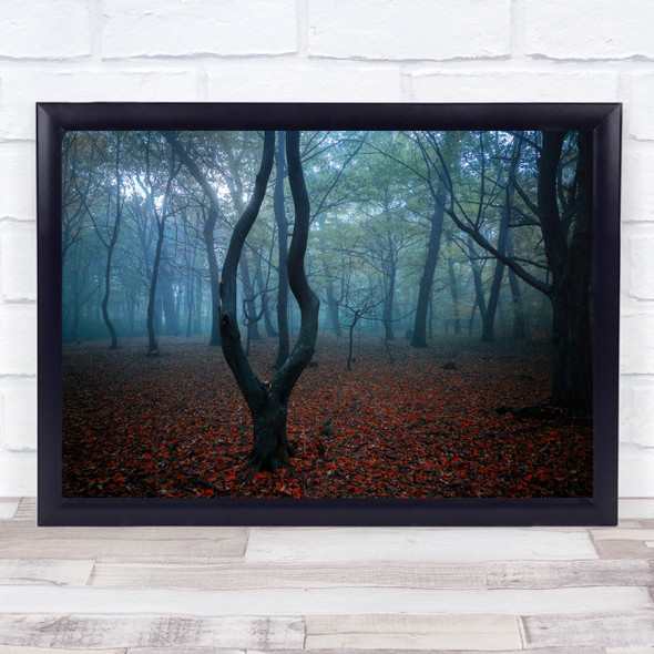 Forest Landscape Leaves Autumn Fall Season Seasonal Trees Wall Art Print