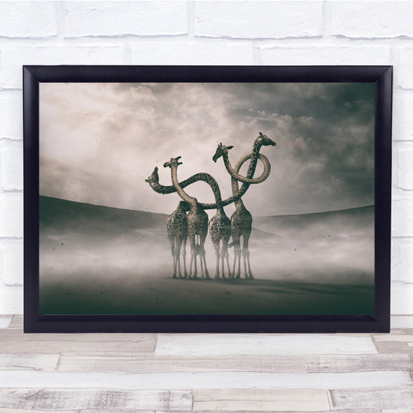 Photoshop Adobe Manipulation eccentric giraffes entangled Wall Art Print