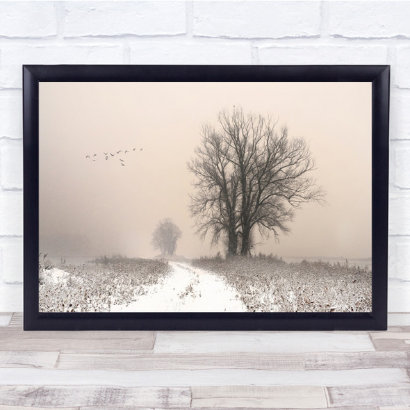 Whispering Winter Leafless tree Pastel colours Foggy Path Wall Art Print