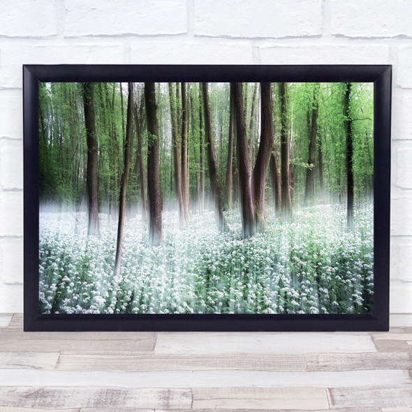 Wood Bearwood Forest Trees Summer Streaks Double Exposure Wall Art Print