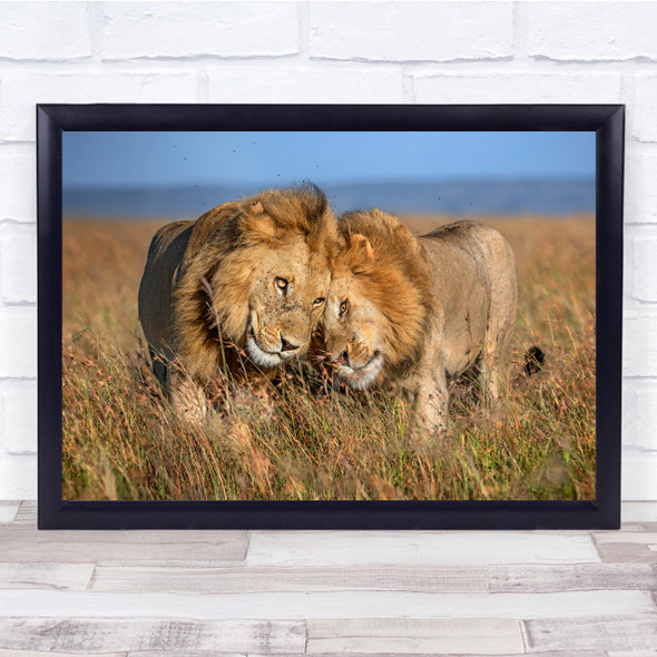 Africa Lion Safari Kenya Savannah Plains Wildlife Nature Wall Art Print