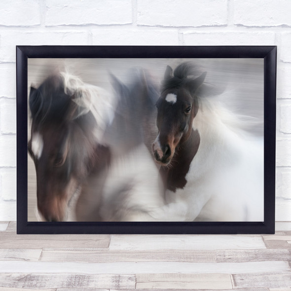 Horse Galloping Action Movement Portrait Black and White Wall Art Print