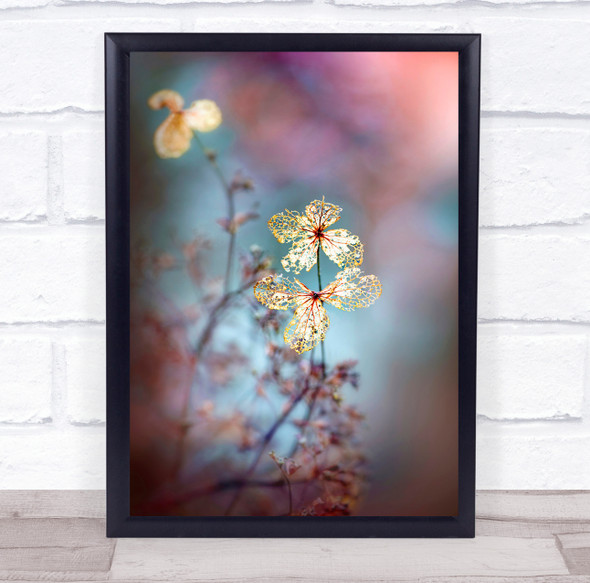 Hydrangea Flowers Close-Up Fragility Flower Flora Floral Wall Art Print