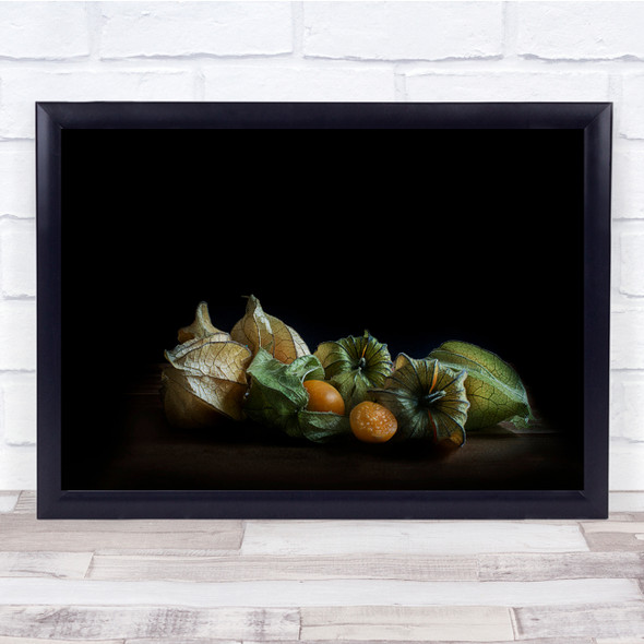 Physalis Fruit Tropic Dark Low Key Low-Key Still Life No Wall Art Print