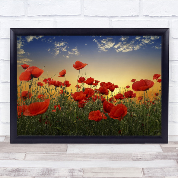 Poppy Field Flower Summer Flowers Landscape Meadow Grass Wall Art Print