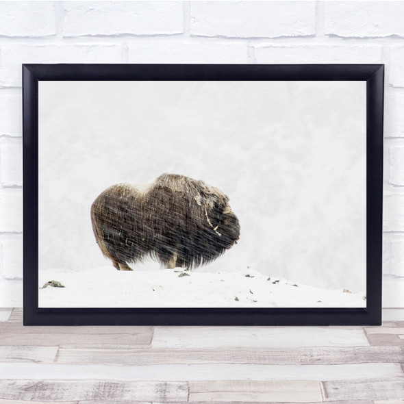 Snow Snowy Weather Blizzard Snowstorm Storm Cold Buffalo Wall Art Print