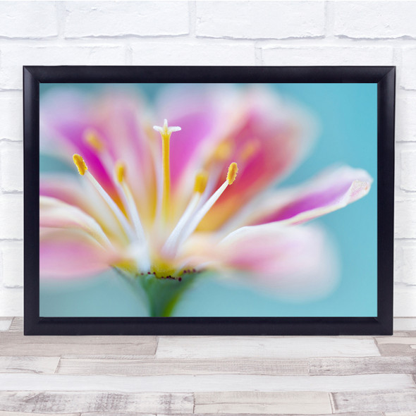 Summer Garden Flower Floral Plant Macro Close-Up Flowers Wall Art Print