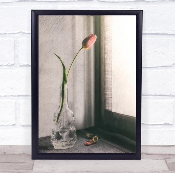 Tulip Tulips Still Life Window Vase Longing Long Texture Wall Art Print