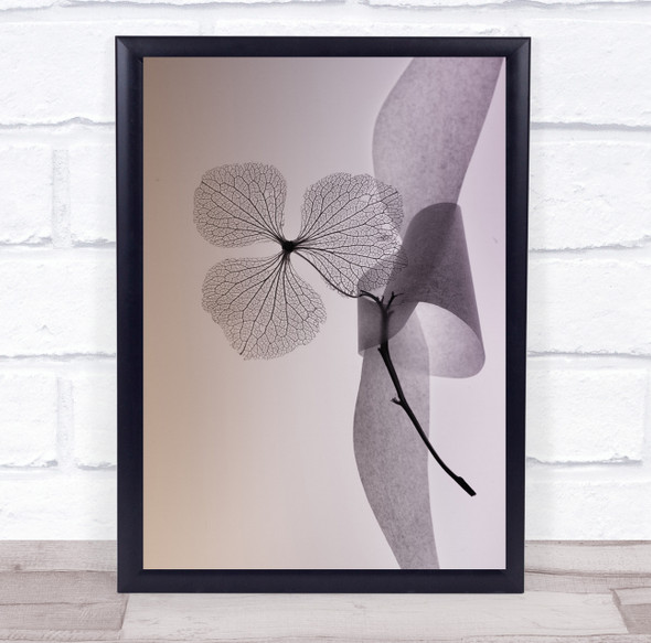 Art Hydrangea Ribbon Poetic Transparent Interior flower Wall Art Print