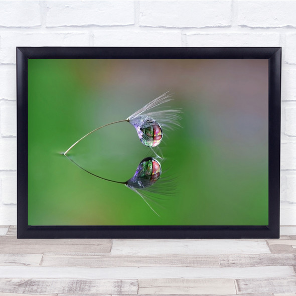 Feather Downy Tuft Seed Macro Water Abstract Soft Pearl Wall Art Print