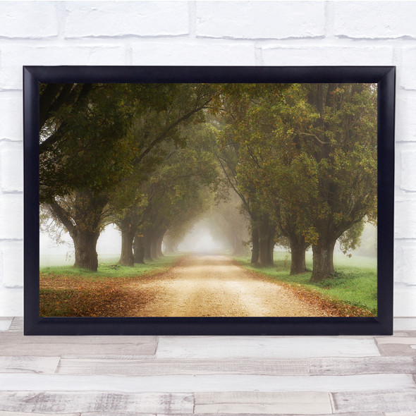 Forest Hungary Misty Autumn Foggy Trees Tunnel Road Way Wall Art Print