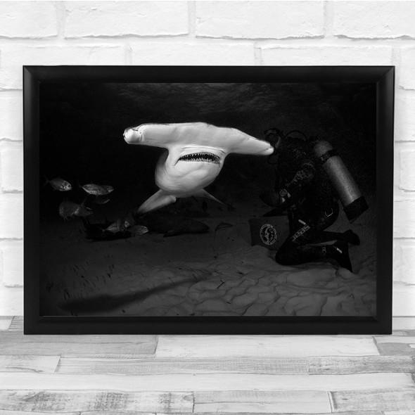 Landscape Black White Hammerhead Shark Scuba Diver Dark Wall Art Print