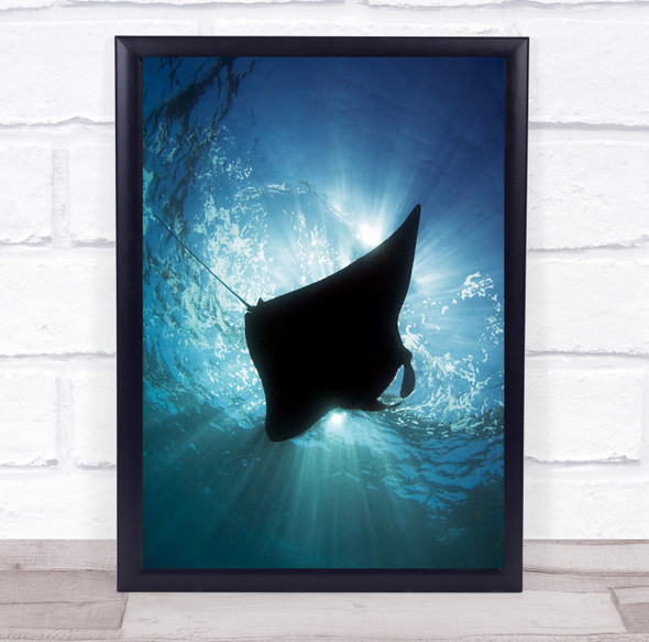 Manta Sunshine Sun Rays Surface Water Ocean Pacific Sea Wall Art Print