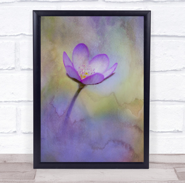 Liverwort Flower Texture Macro Purple Watercolour Watercolours Wall Art Print